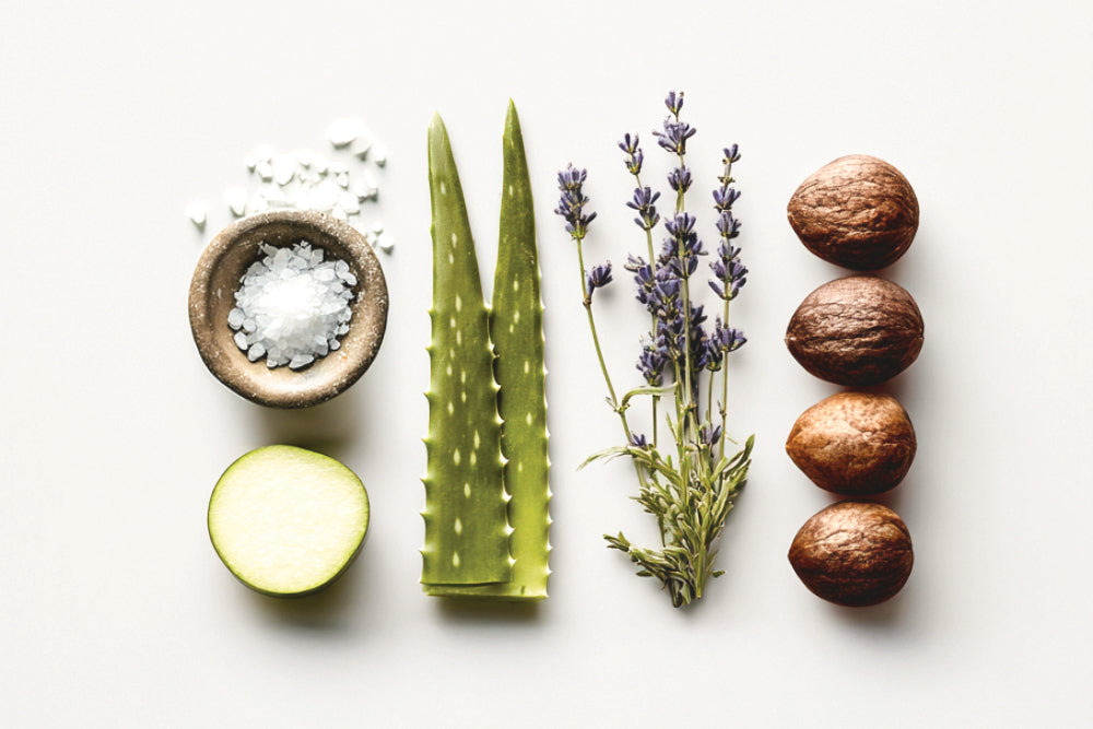 מהגינה למקלחת - צמחי מרפא ותבלין שעושים טוב לעור ולשיער