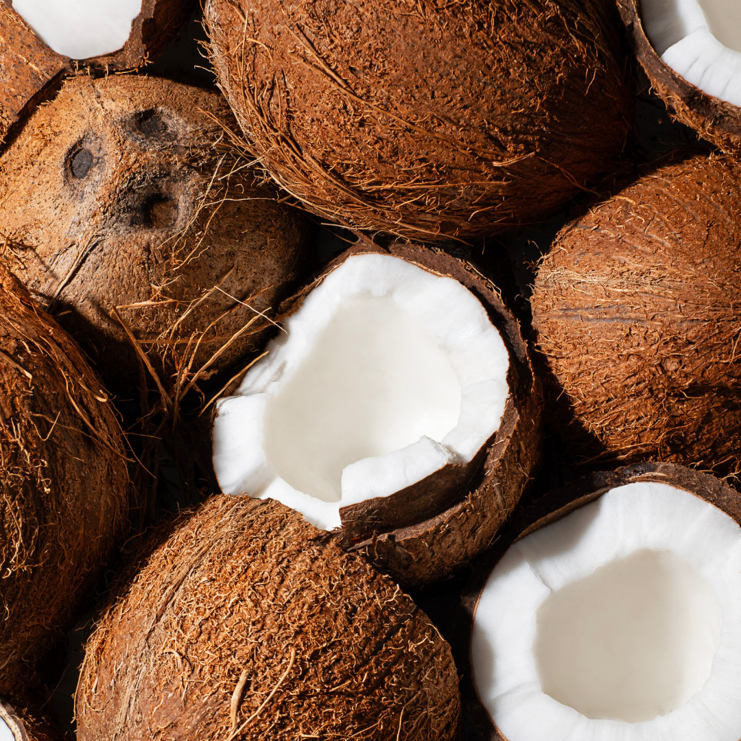 דוגמית משחת שיניים קוקוס 10 מ״ל