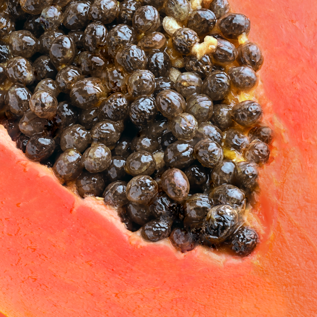 משחת שיניים אורגנית להלבנה עם פפאיה