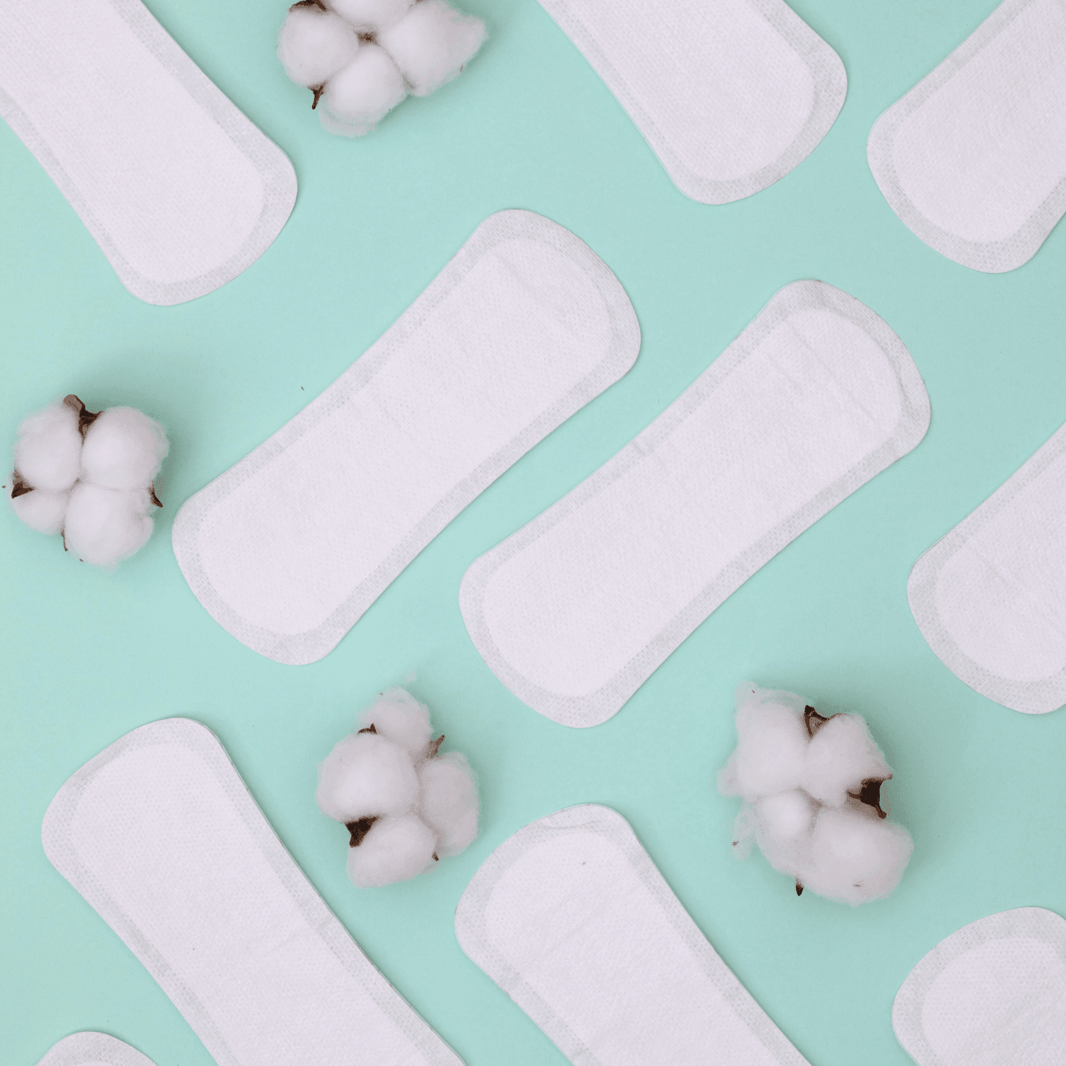 אריזת חיסכון של מגן תחתון בתפזורת - 48 יח' Organ(y)c